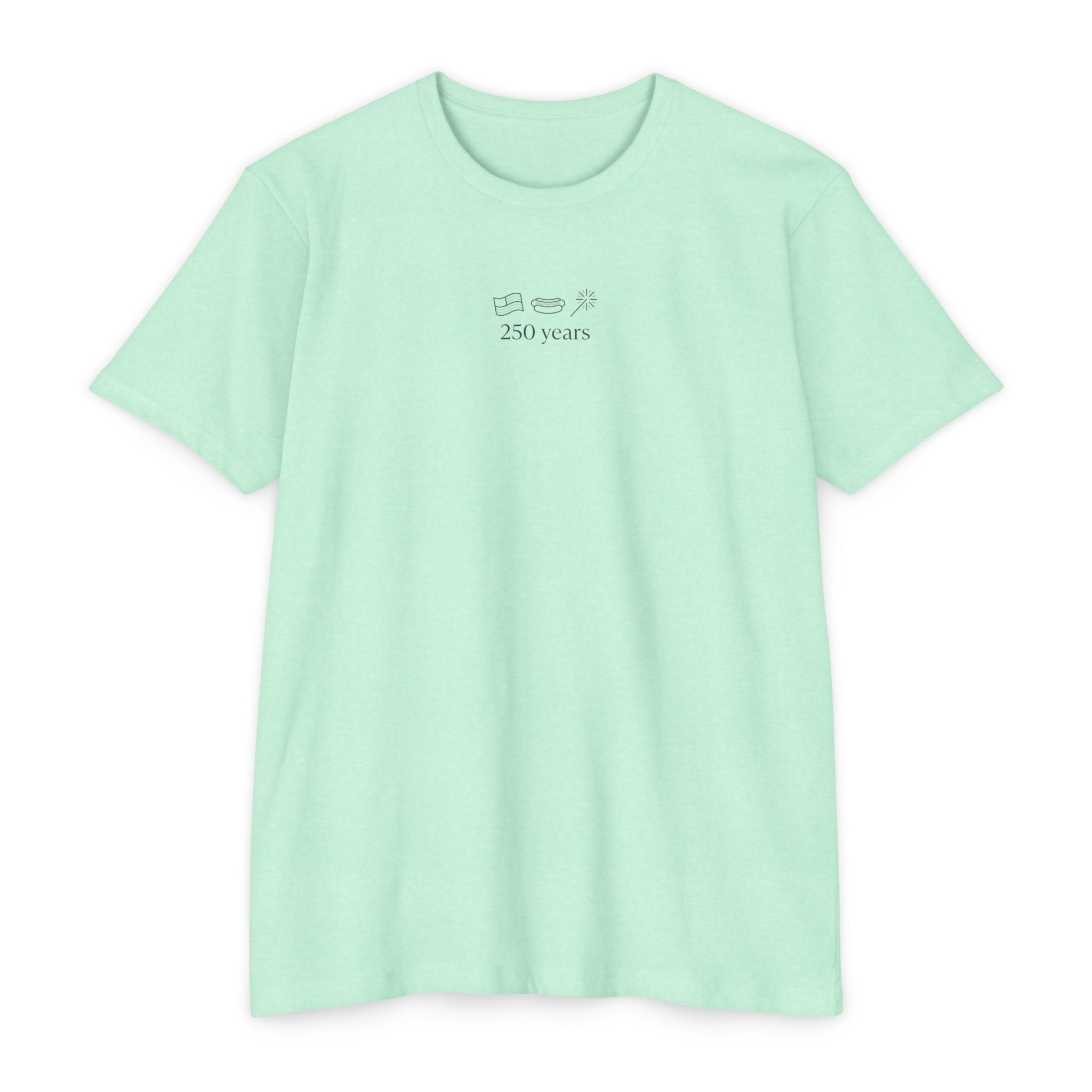 Minimalist '250 Years' Vintage Camera T-Shirt