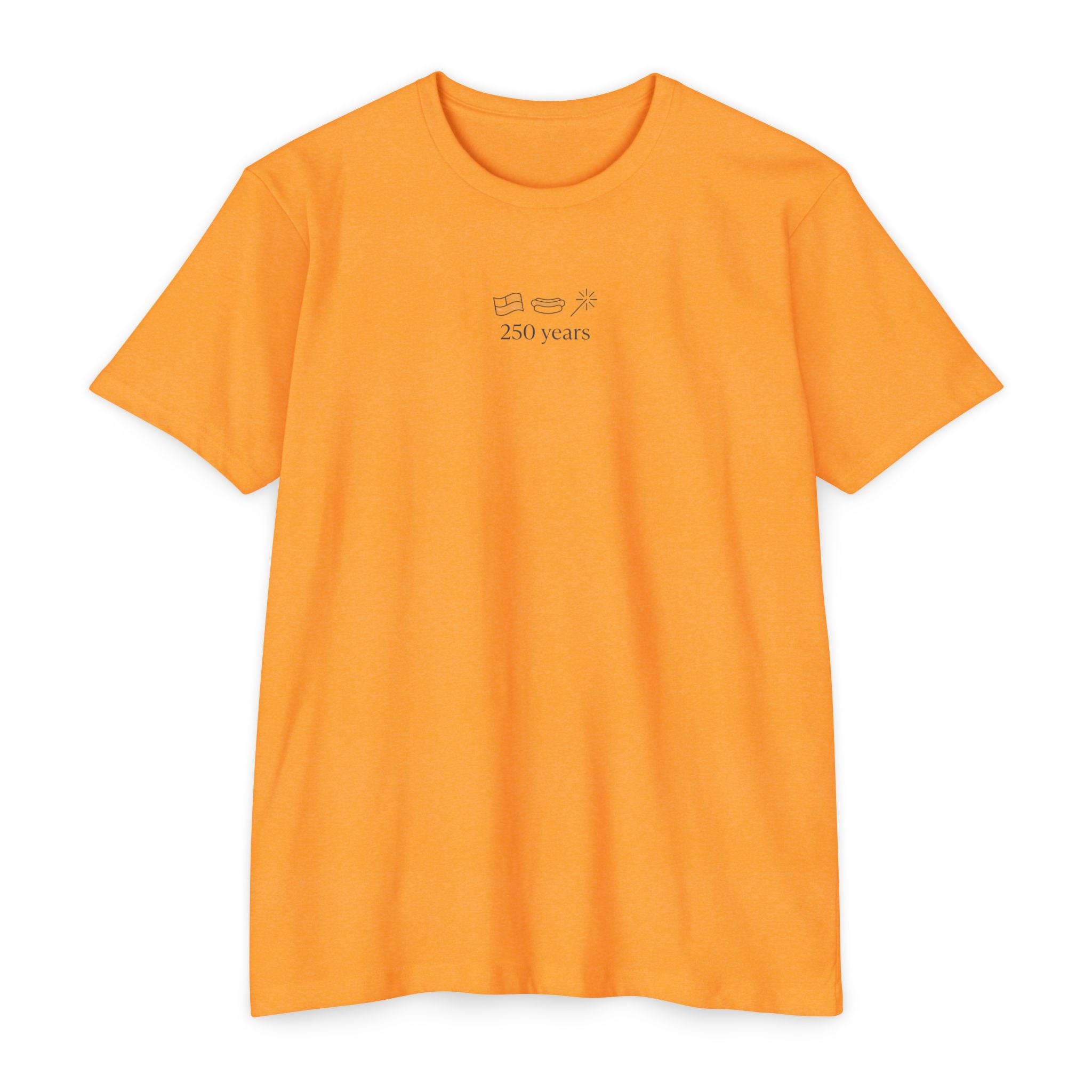 Minimalist '250 Years' Vintage Camera T-Shirt