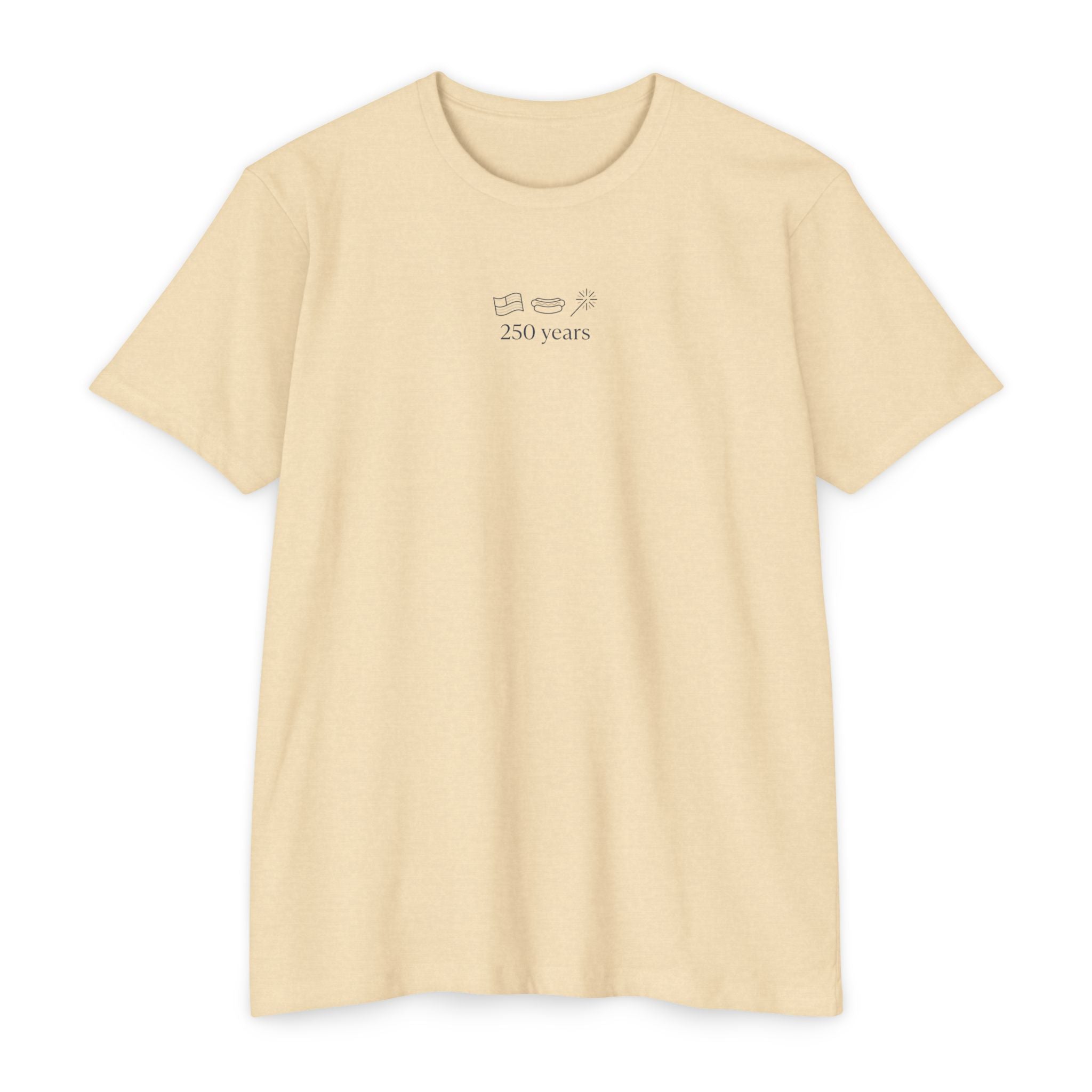 Minimalist '250 Years' Vintage Camera T-Shirt